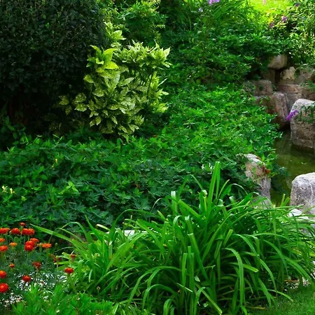 公寓式酒店 Garden Of Eden Panorama 圣弗拉斯